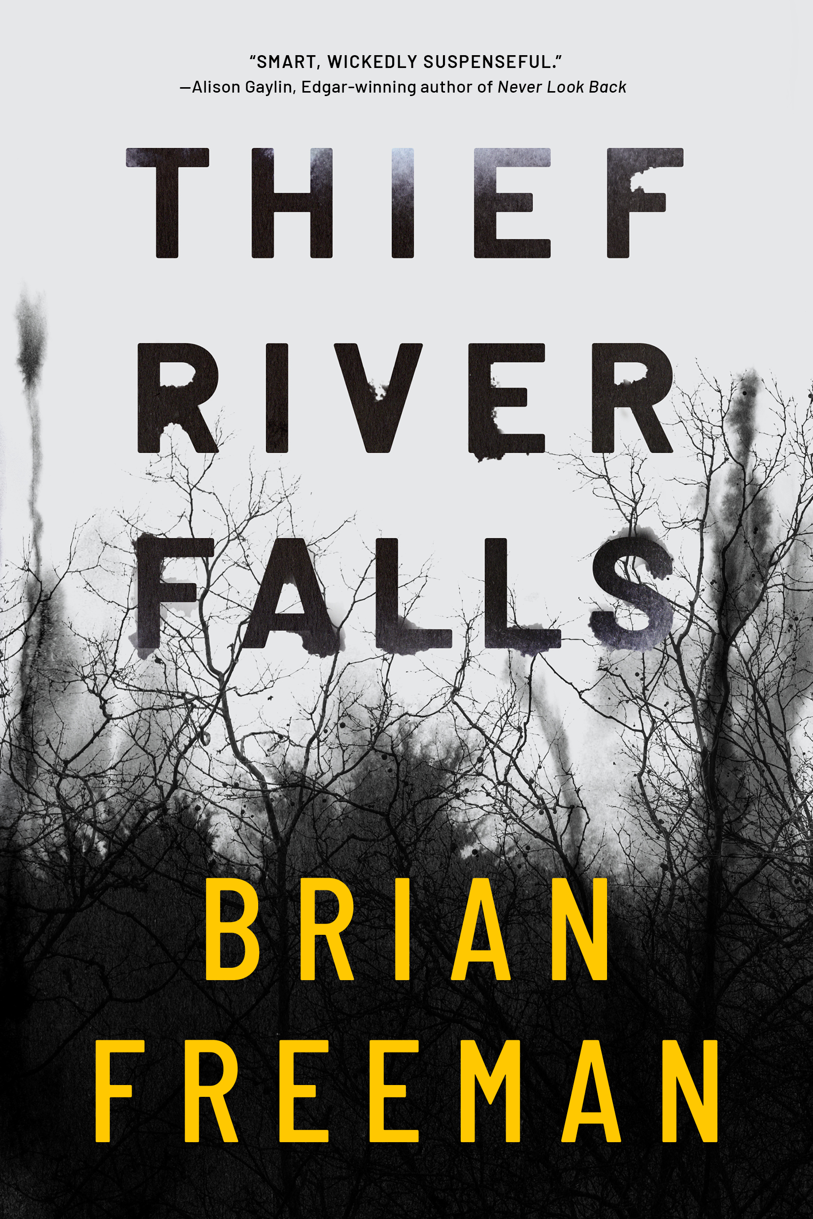 fleet thief river falls